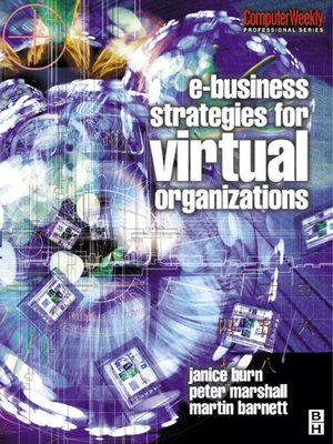 cover image of e-Business Strategies for Virtual Organizations
